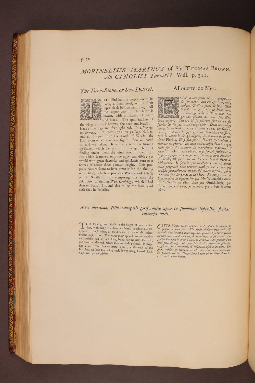 Page 72